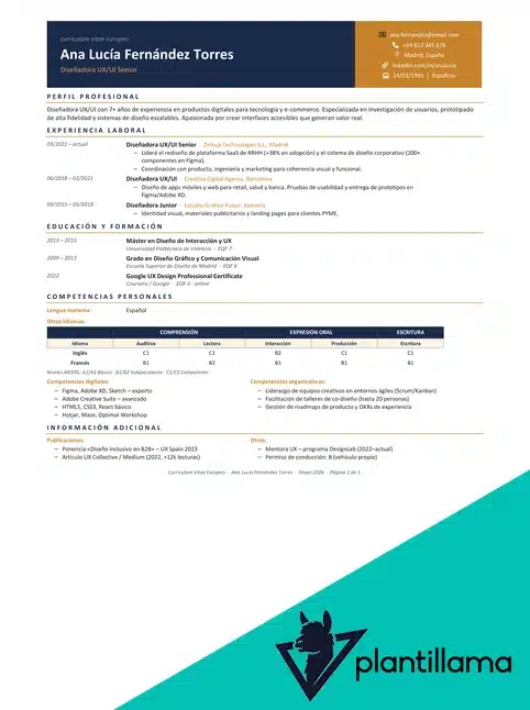 curriculum vitae europass