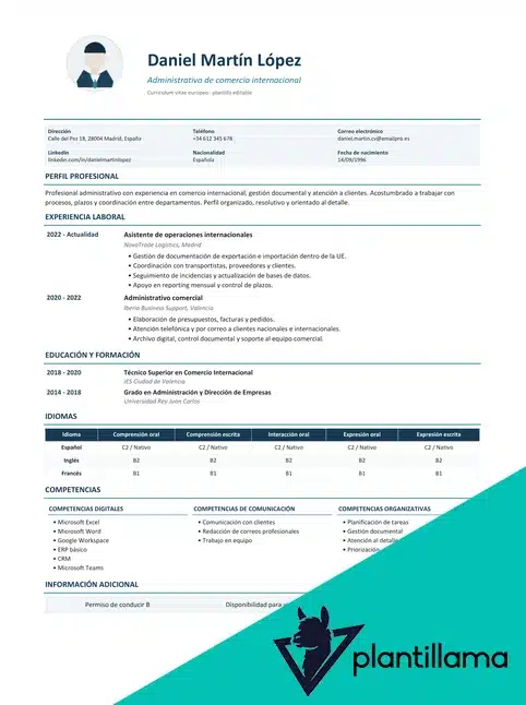 curriculum vitae europeo