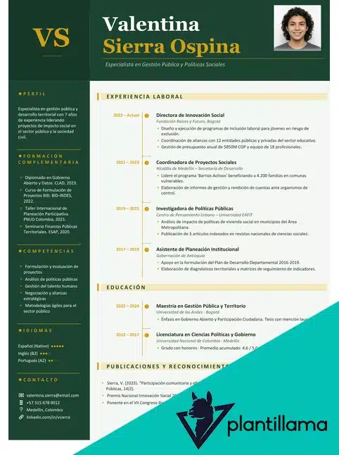 CV Cronológico