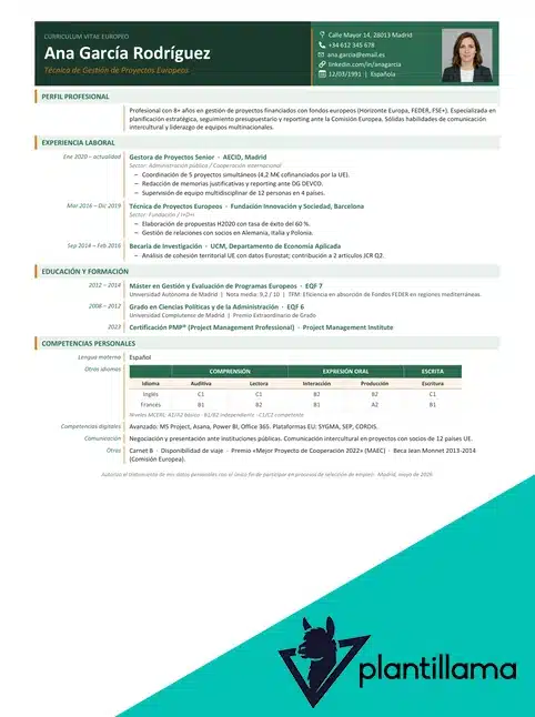 europass style cv