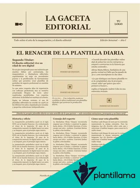 plantilla diario