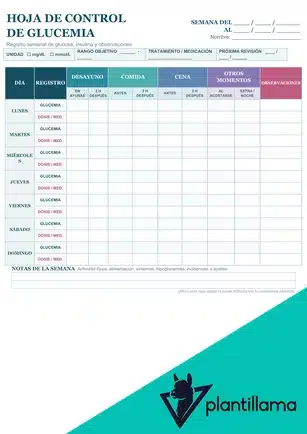Cuaderno control glucosa