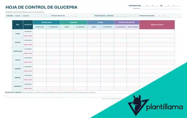 Hoja control de gucemia